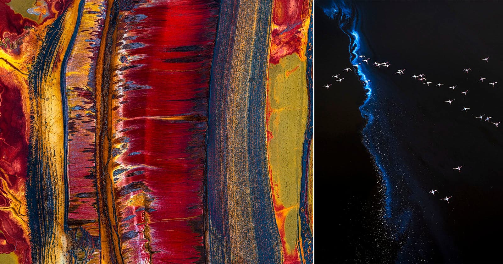 ‘Patterns’ Is a Photographic Celebration of Nature’s Rhythms
