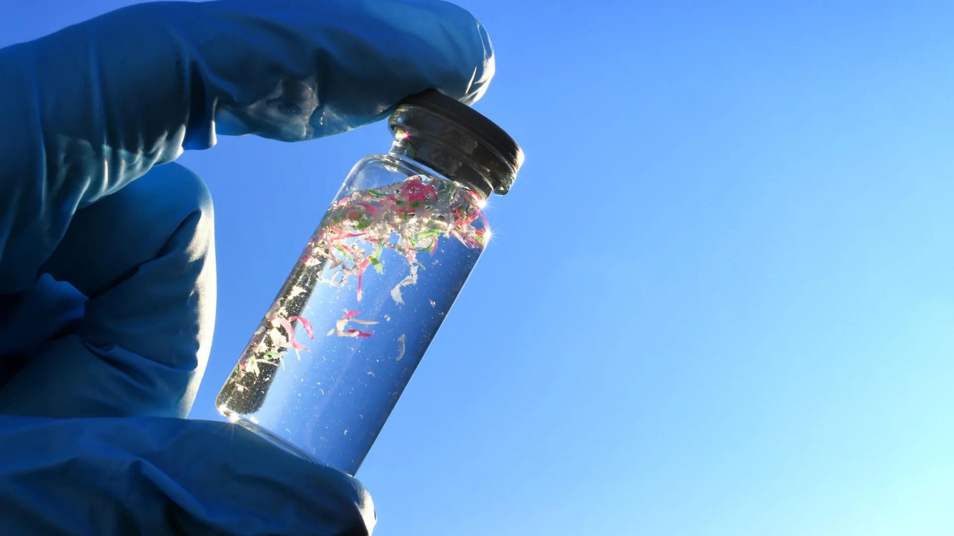 Microplastics are undermining the ocean’s power to absorb carbon