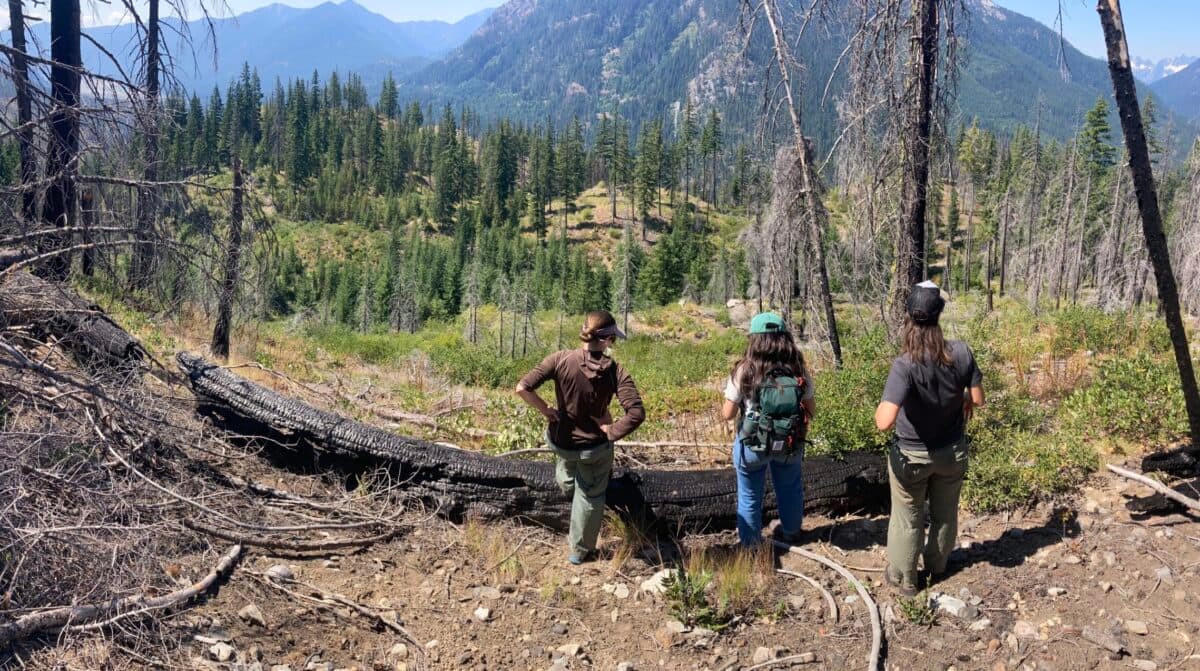 Q&A: Wildfire in protected NW Forests highlights need for strategy updates