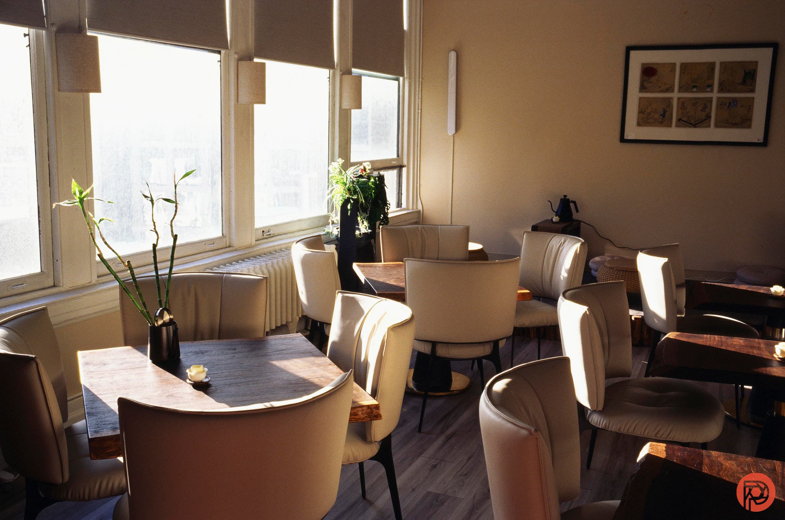 Photographers: Here’s The Escape from Social Media You Wanted