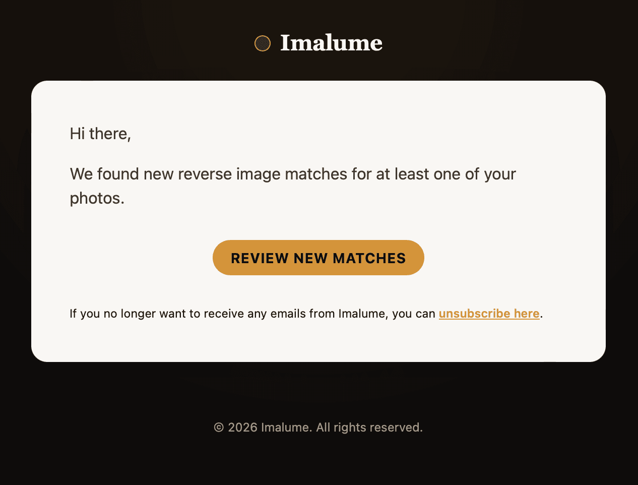 We Partnered With Imalume to Protect Photographers from Thieves